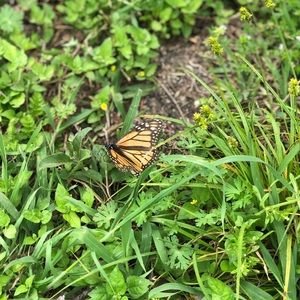 Meet your Posher, Melany